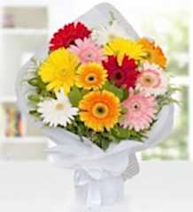 Renkli Gerbera Buketi