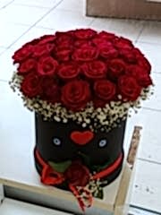 KUTU ARAJMAN