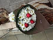 papatya + gül